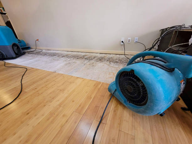 Professional Flood Damage Cleanup technician working in Argusville, ND